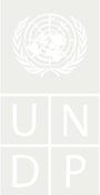United Nations Development Programme